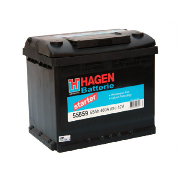 12V/45Ah+D HAGEN STARTER(360A) L01